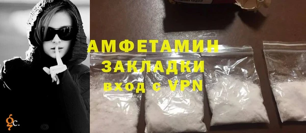 шишки Белокуриха
