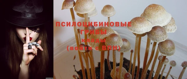 шишки Белокуриха
