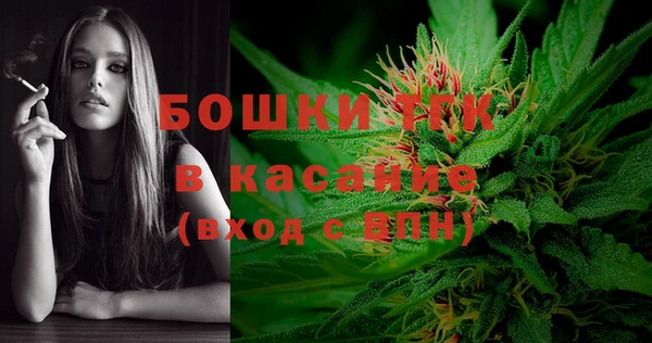 шишки Белокуриха