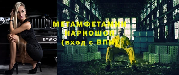 шишки Белокуриха