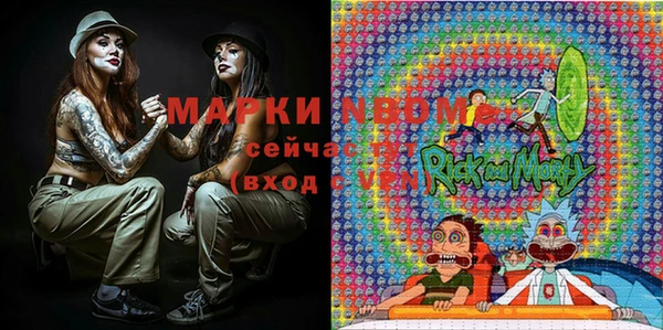 шишки Белокуриха