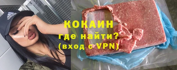 шишки Белокуриха