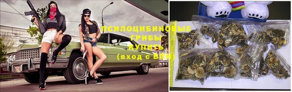 шишки Белокуриха