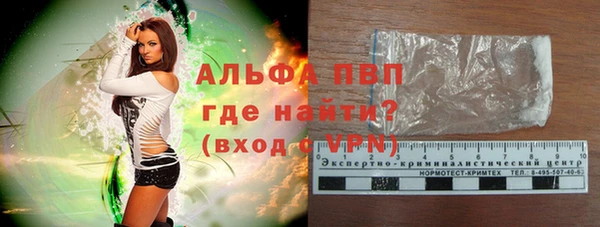 шишки Белокуриха