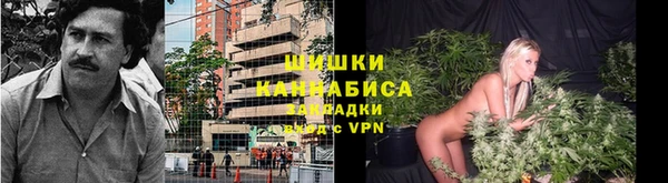 тгк Беломорск